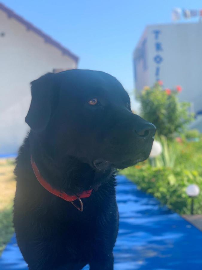 Vila Troia Vama Veche Buitenkant foto
